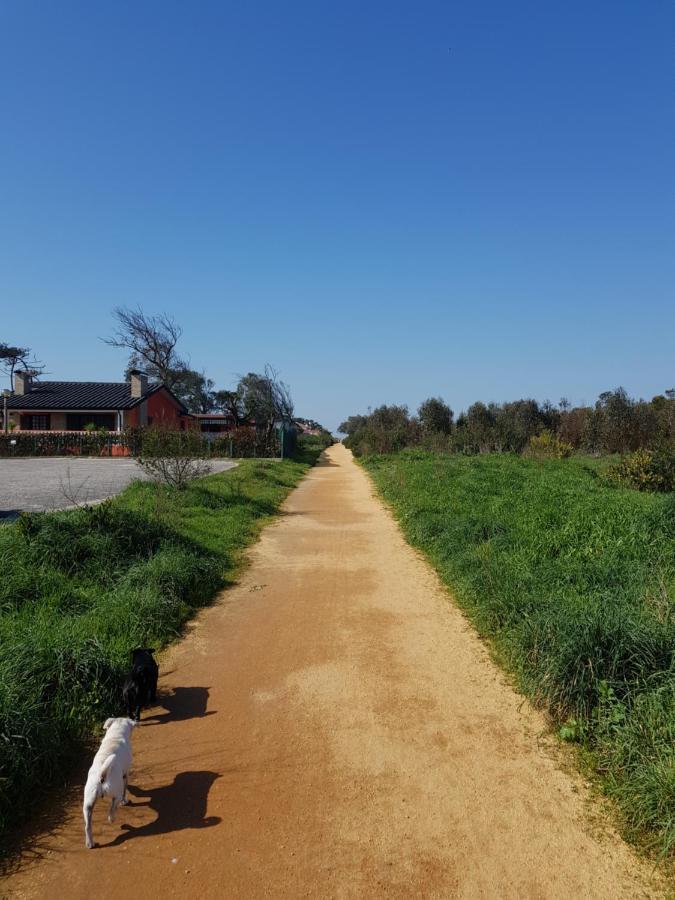 Beachwalk Guesthouse 에스모리츠 외부 사진